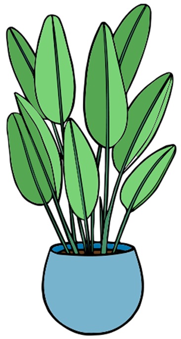 House plant